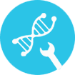 gene synthesis for protein production optimization