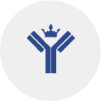 Antibody-drug conjugate development