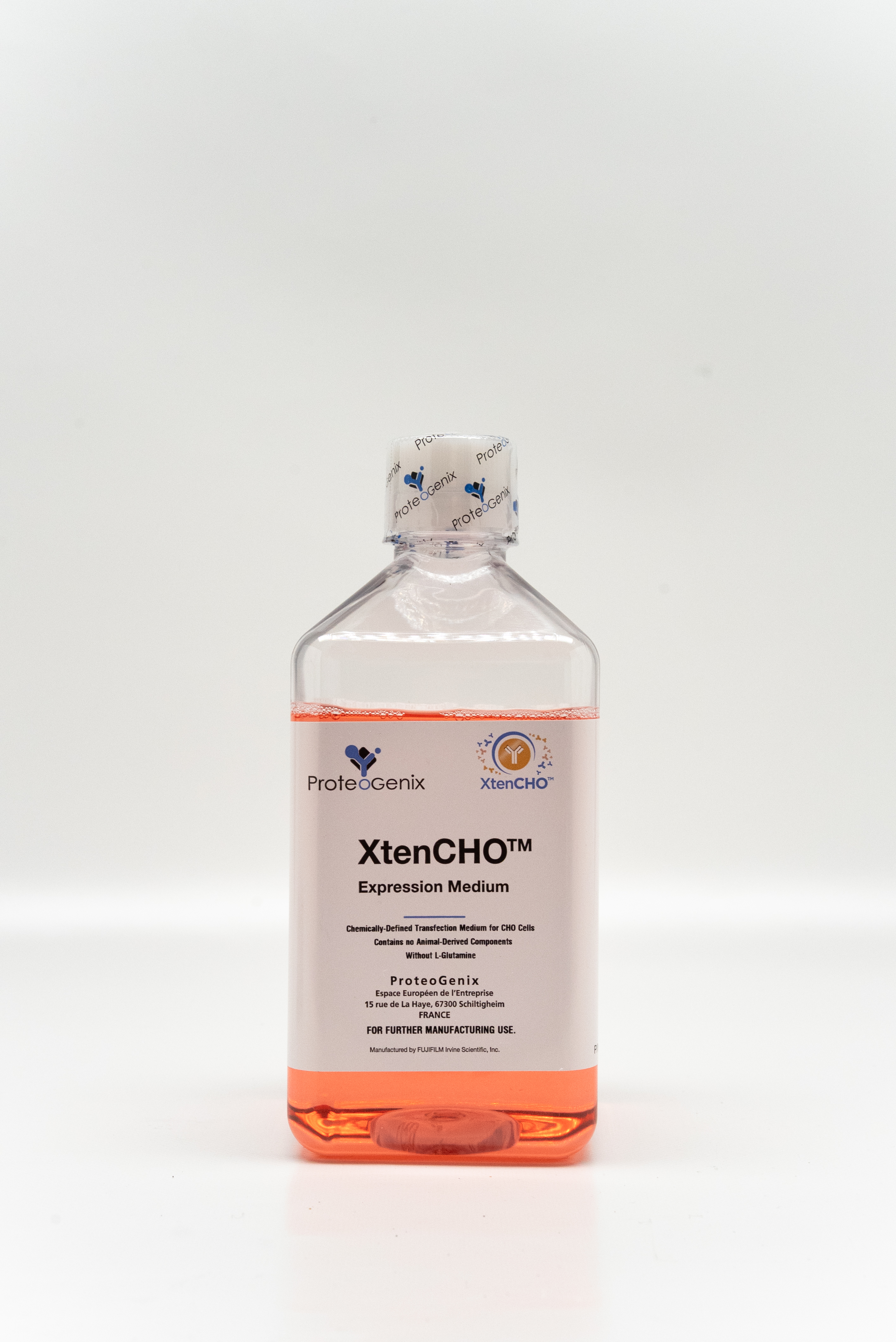xtenchorace_2025-7-4.jpg