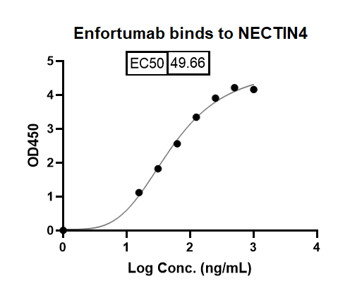 Enfortumab Biosimilar – Anti-PVRL4 mAb – Research Grade binds to Human NECTIN4-PVRL4 recombinant protein in indirect ELISA Assay