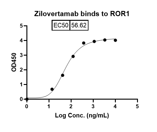 Zilovertamab Biosimilar – Anti-ROR1 mAb – Research Grade binds to Human ROR1 recombinant protein in indirect ELISA Assay