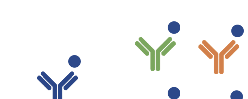 The benefits of pairing monoclonal and polyclonal antibodies for custom immunoassay development