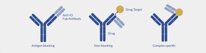 Anti-drug antibodies - ProteoGenix US