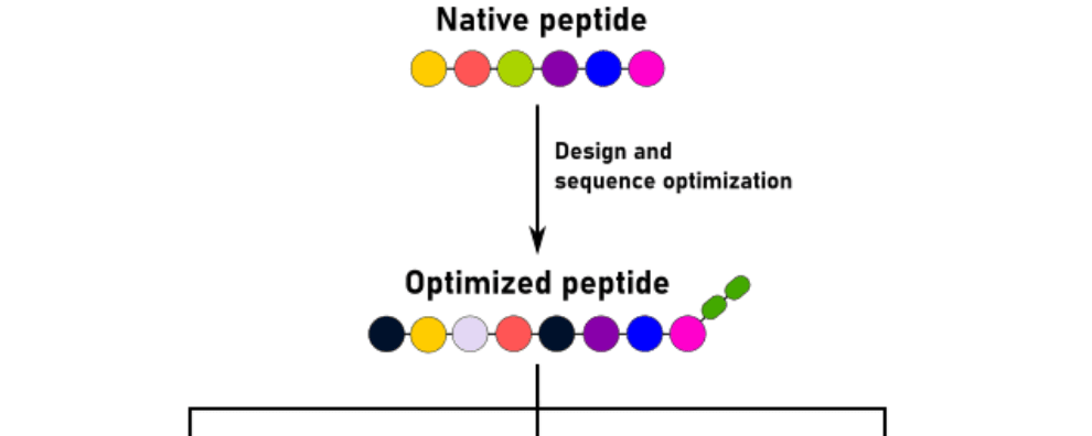 Challenges in chemical and recombinant peptide production processes