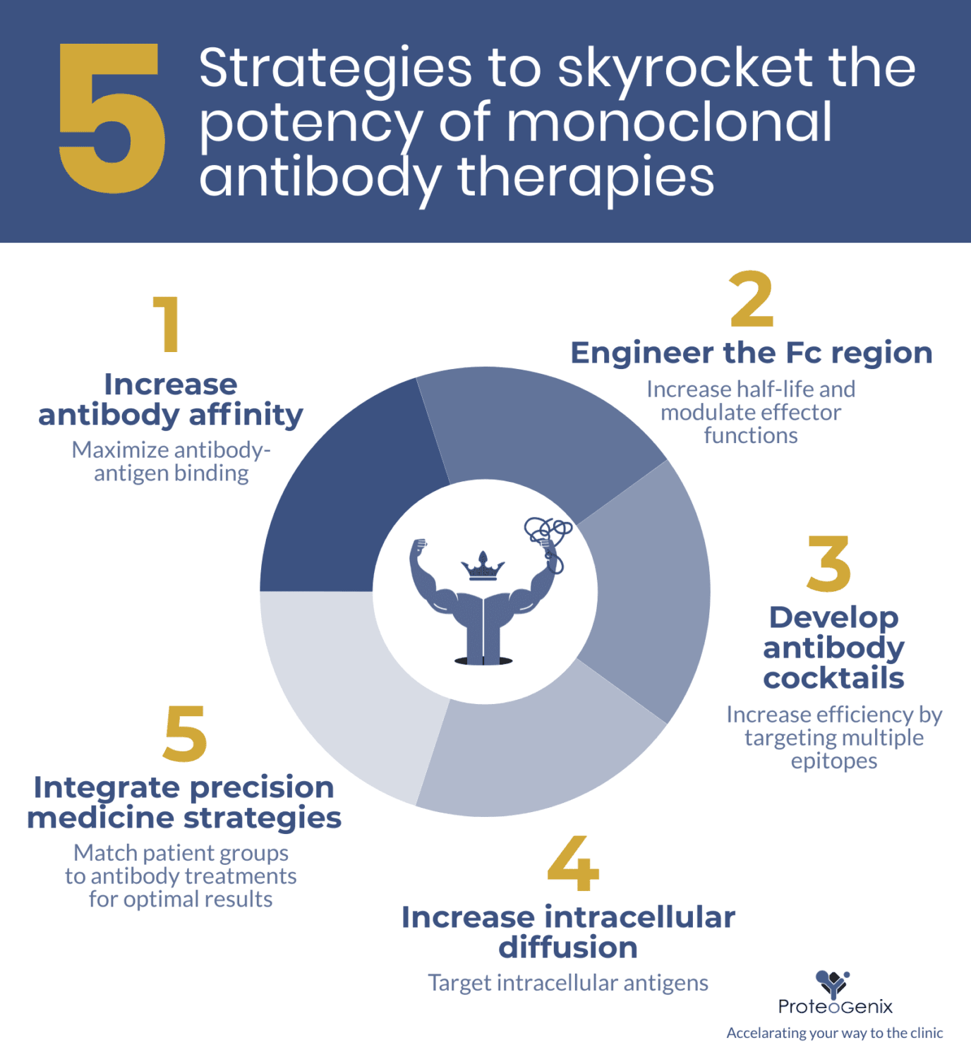 Increase potency of monoclonal antibody therapies