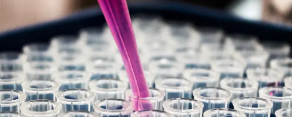 Antibody production: a complete guide Biology Diagrams