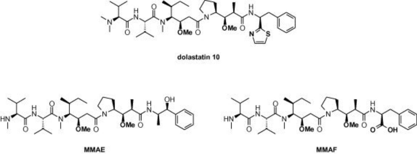 dolastatin 10 and monomethyl auristatin E and F