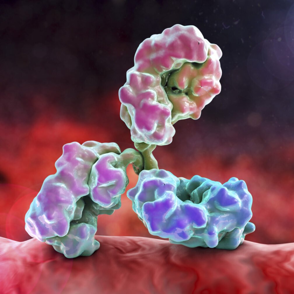 Buy Oleclumab Biosimilar AntiNT5E/CD37 mAb Research Grade Online