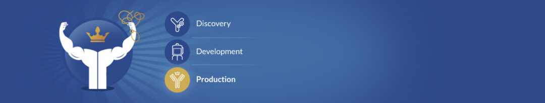 Custom Monoclonal Antibody Production - ProteoGenix