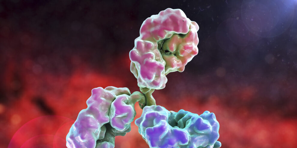 Pioneering the Development of Therapeutic Antibodies for Alzheimer’s Disease