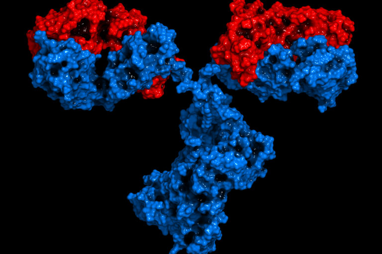 Next-Generation Antibody Discovery Enabled By NativeMP™ and Phage Display Technology