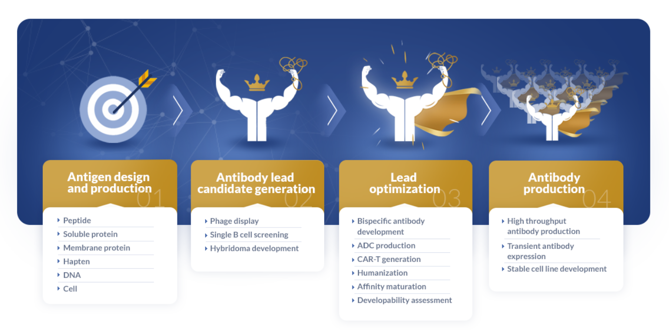 Therapeutic antibody discovery services - ProteoGenix