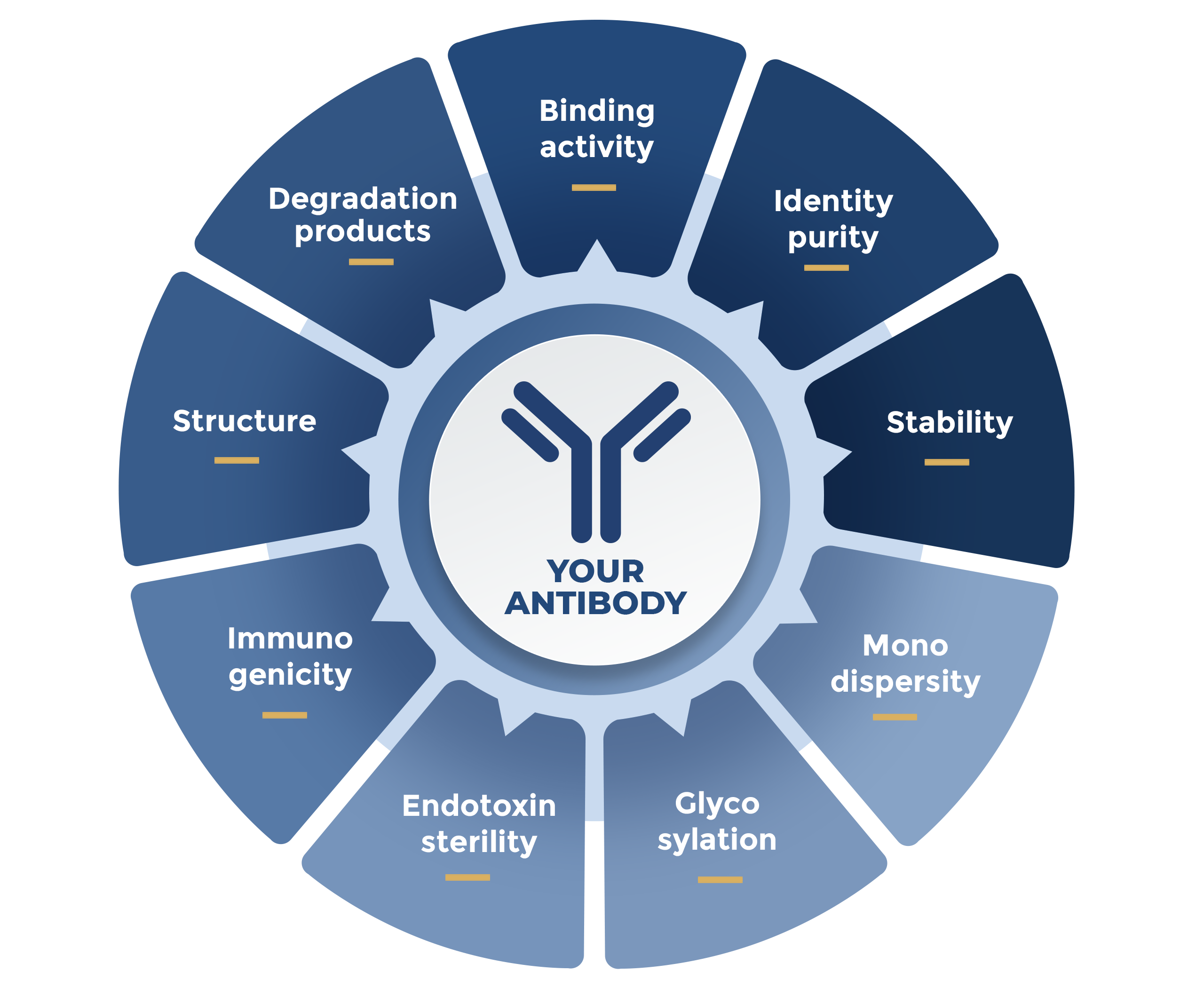 recombinant antibody characterization chart