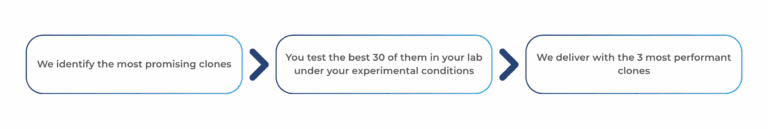 3 steps to obtain your antibodies