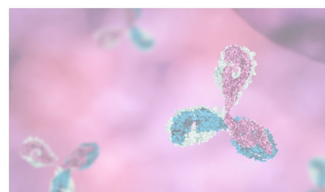 antibodies in pink backgroung