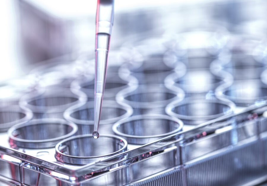 Pharmaceutical Research, Pipetting sample into a multi well plate