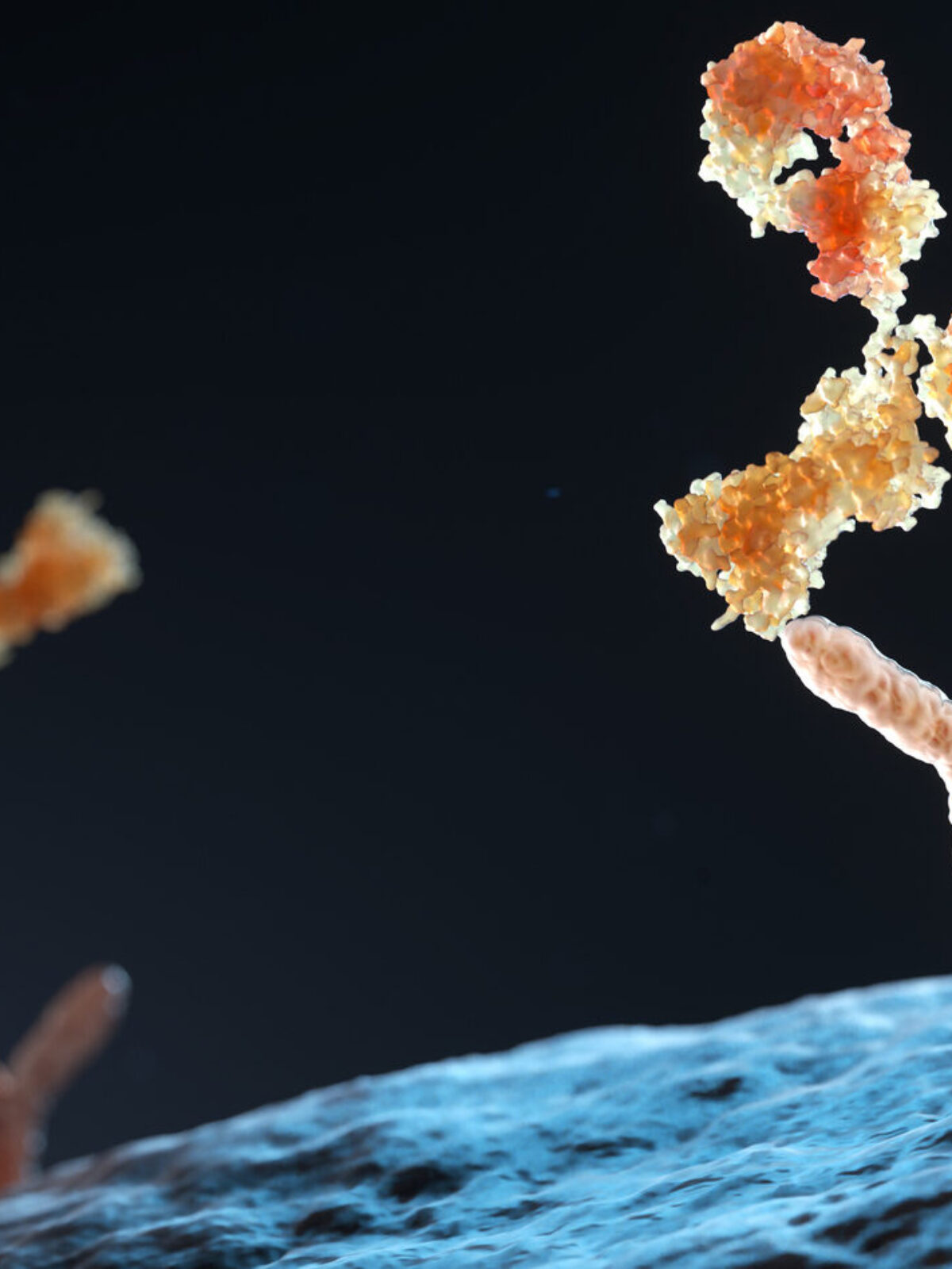 Boost Binding Performance with our AI-driven Affinity Maturation service