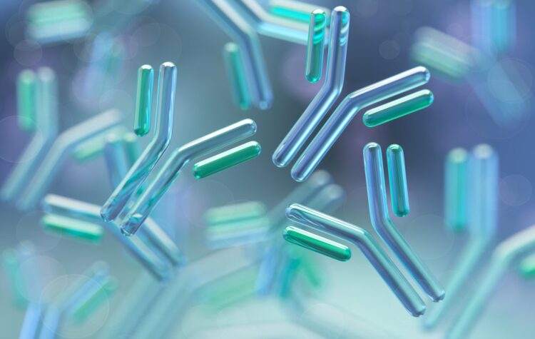 Go/No-go Decision Points for Maximum Confidence