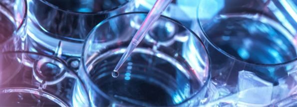 Custom veterinary antibodies target species