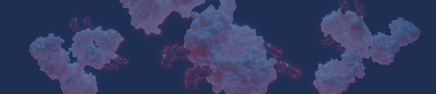 Next-Generation Antibody Discovery Enabled By NativeMP™ and Phage Display Technology