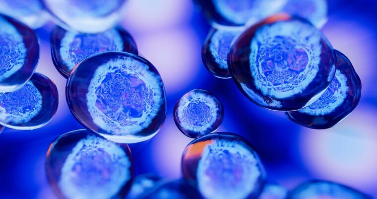 who we work proteogenix