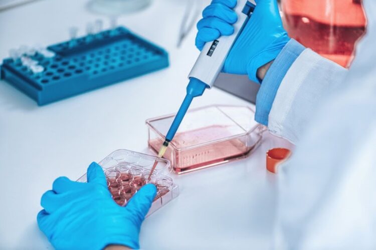 Custom Protein Production Services