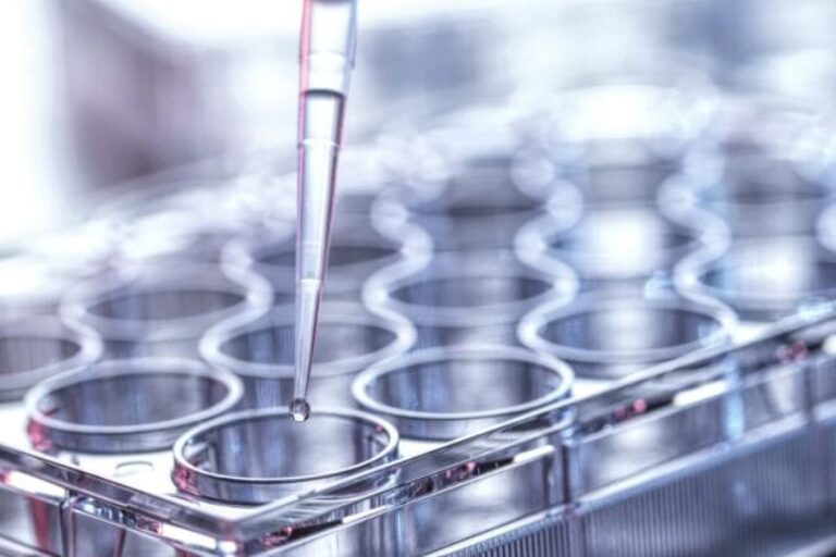 Phage display platform for rapid discovery of fully human antibodies