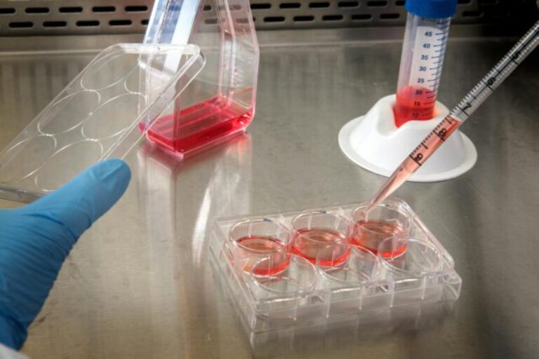 Single B-cell screening platform for fully human antibody discovery from humanized mice