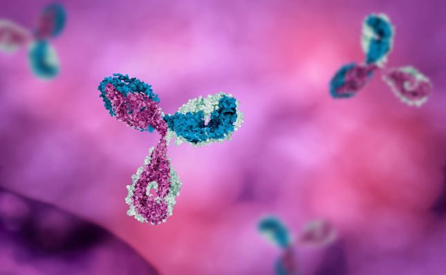 Antibody Drug Conjugate (ADC) Services