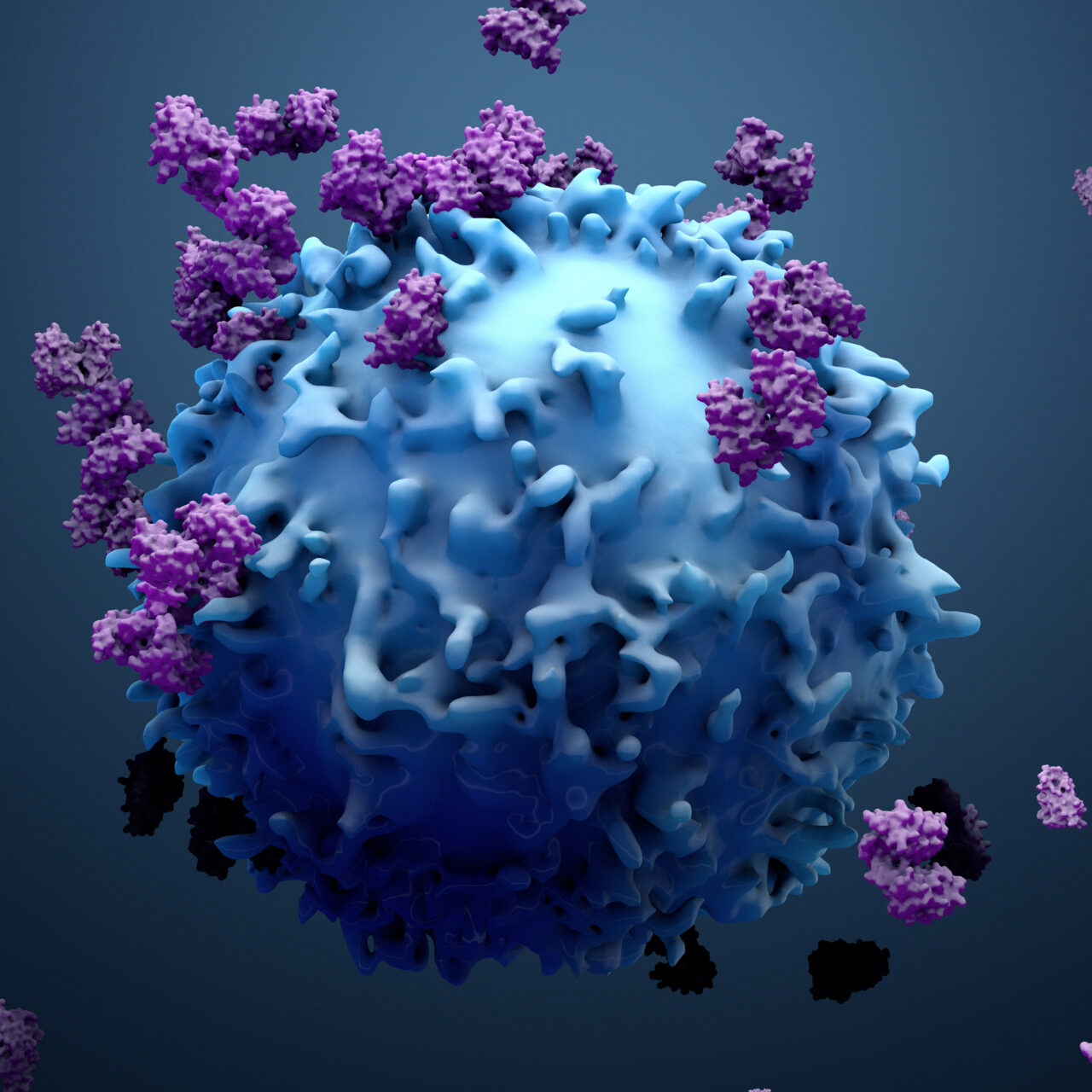 Cancer antibodies