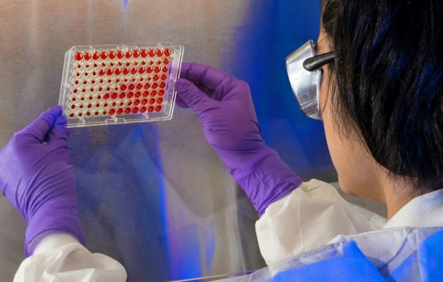 Custom CAR-T cell development service