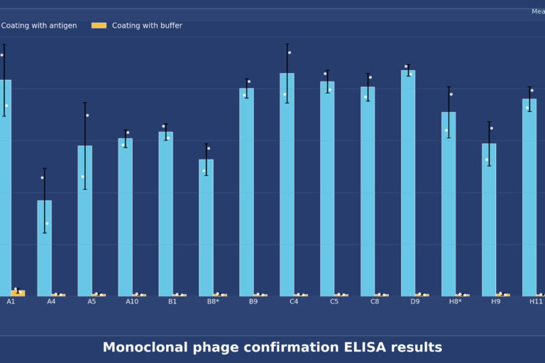 Monoclonal phage confirmation ELISA results