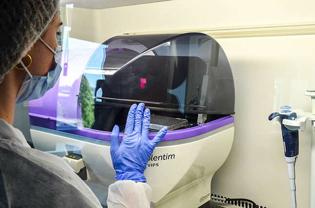 cusom cell line antibodies QC