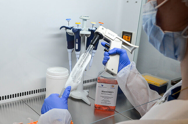 Bispecific Antibody Production Services