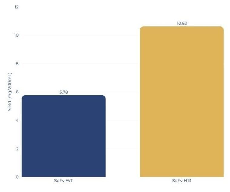 Mid-scale transient antibody production results with XtenCHO® Race showing 10.63 mg per 200 mL yield, low endotoxin and greater than 90 percent purity.